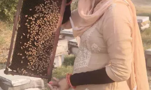 Fatehabad की महिला ने परंपरा को सफल शहद कारोबार में बदला