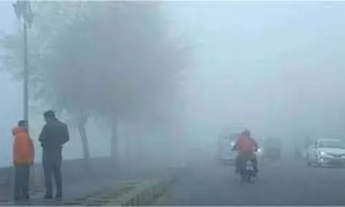 Ludhiana  : घने कोहरे से बेहाल, आंधी-बारिश का Alert
