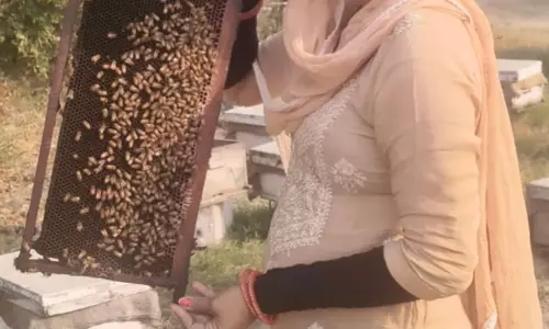 Fatehabad की महिला ने परंपरा को फलते-फूलते शहद के कारोबार में बदल दिया