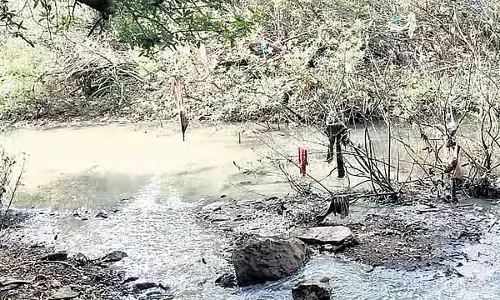 कोल्लूर सौपर्णिका नदी प्रदूषण: NGT ने उडुपी के जिला मजिस्ट्रेट और KUWSDB से रिपोर्ट मांगी कोल्लूर सौपर्णिका नदी प्रदूषण: NGT ने उडुपी के जिला मजिस्ट्रेट और KUWSDB से रिपोर्ट मांगी