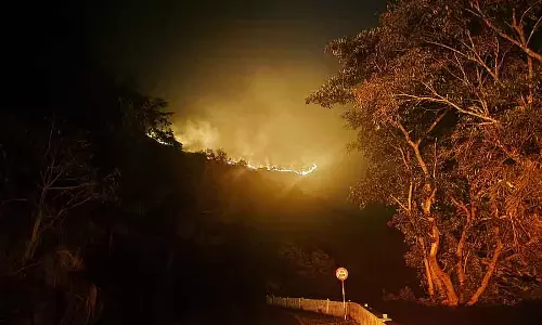 Charmadi घाटी: बांस के जंगल वाले इलाके में जंगल की आग Charmadi घाटी: बांस के जंगल वाले इलाके में जंगल की आग