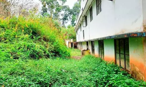Kerala : स्कूल का मैदान रेप्टाइल्स और जंगली सूअरों का अड्डा बन गया Kerala : स्कूल का मैदान रेप्टाइल्स और जंगली सूअरों का अड्डा बन गया