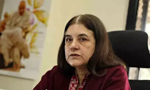 Supreme Court ने आवारा कुत्तों की आलोचना पर मेनका गांधी को फटकार लगाई Supreme Court ने आवारा कुत्तों की आलोचना पर मेनका गांधी को फटकार लगाई