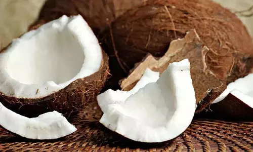 क्या Diabetes के मरीज कच्चा नारियल खा सकते हैं? एक्सपर्ट्स क्या कहते हैं? क्या Diabetes के मरीज कच्चा नारियल खा सकते हैं? एक्सपर्ट्स क्या कहते हैं?