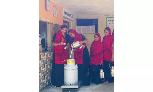 Sarhad Dairy की पहल के माध्यम से कच्छ में 25 वर्षों में उल्लेखनीय परिवर्तन देखने को मिला