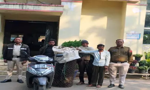 इंदिराविहार फेंसिंग तार चोरी का खुलासा, तीन आरोपी गिरफ्तार इंदिराविहार फेंसिंग तार चोरी का खुलासा, तीन आरोपी गिरफ्तार