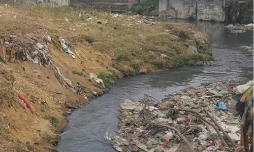 नाले में गिरे दो भाई, एक को मां ने बचाया दूसरे की मौत नाले में गिरे दो भाई, एक को मां ने बचाया दूसरे की मौत
