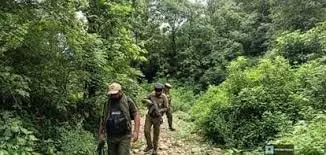 Jammu-Kashmir: बड़ा खुलासा,जंगलों में आतंकी ठिकाना बेनकाब Jammu-Kashmir: बड़ा खुलासा,जंगलों में आतंकी ठिकाना बेनकाब