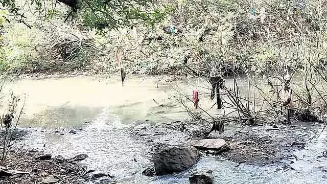 कोल्लूर सौपर्णिका नदी प्रदूषण: NGT ने उडुपी के जिला मजिस्ट्रेट और KUWSDB से रिपोर्ट मांगी कोल्लूर सौपर्णिका नदी प्रदूषण: NGT ने उडुपी के जिला मजिस्ट्रेट और KUWSDB से रिपोर्ट मांगी
