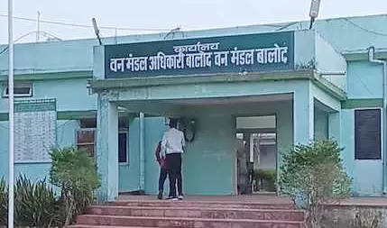 DFO रेंजर और डिप्टी रेंजर पर गंभीर आरोप, अवैध कटाई कराकर घरों के लिए बनवा दिए फर्नीचर DFO रेंजर और डिप्टी रेंजर पर गंभीर आरोप, अवैध कटाई कराकर घरों के लिए बनवा दिए फर्नीचर