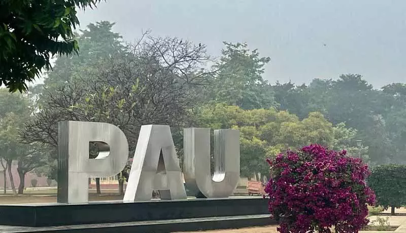PAU कैंपस में किसान मेला 20, 21 मार्च को लगेगा PAU कैंपस में किसान मेला 20, 21 मार्च को लगेगा