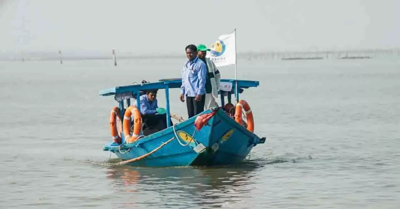 चिल्का झील में GPS-आधारित सर्वे के साथ सालाना डॉल्फिन जनगणना शुरू हुई चिल्का झील में GPS-आधारित सर्वे के साथ सालाना डॉल्फिन जनगणना शुरू हुई