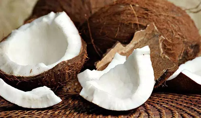 क्या Diabetes के मरीज कच्चा नारियल खा सकते हैं? एक्सपर्ट्स क्या कहते हैं? क्या Diabetes के मरीज कच्चा नारियल खा सकते हैं? एक्सपर्ट्स क्या कहते हैं?