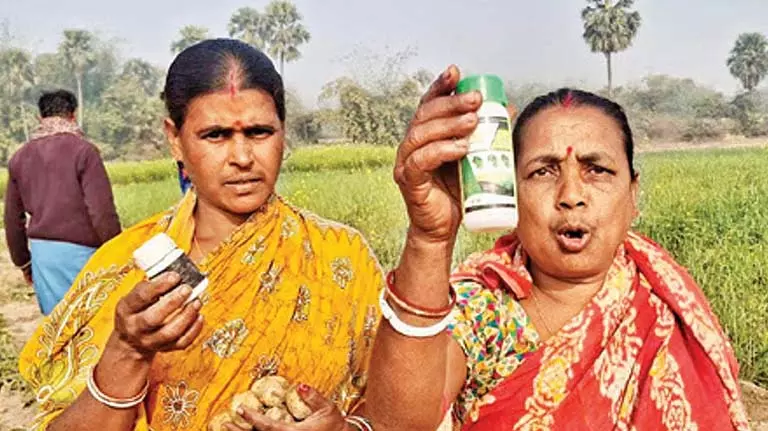 हाथियों ने पिछले कुछ बीघा फसलें नष्ट कर दीं, किसानों ने suicide की धमकी दी हाथियों ने पिछले कुछ बीघा फसलें नष्ट कर दीं, किसानों ने suicide की धमकी दी