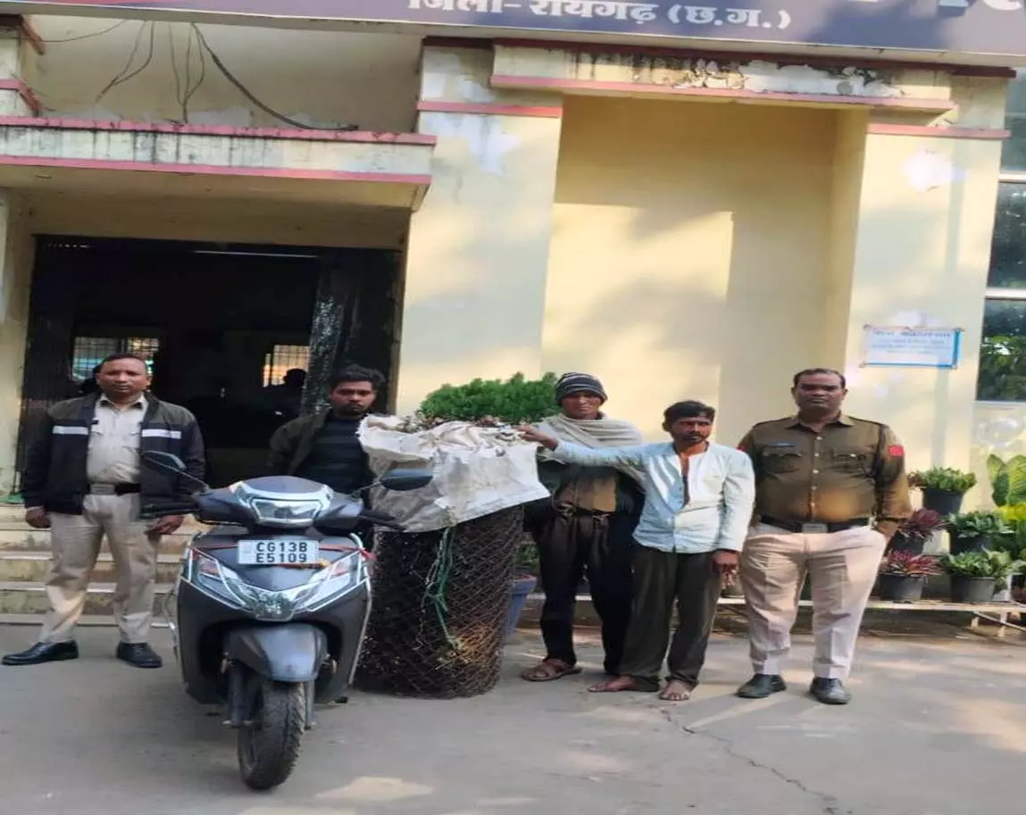 इंदिराविहार फेंसिंग तार चोरी का खुलासा, तीन आरोपी गिरफ्तार इंदिराविहार फेंसिंग तार चोरी का खुलासा, तीन आरोपी गिरफ्तार