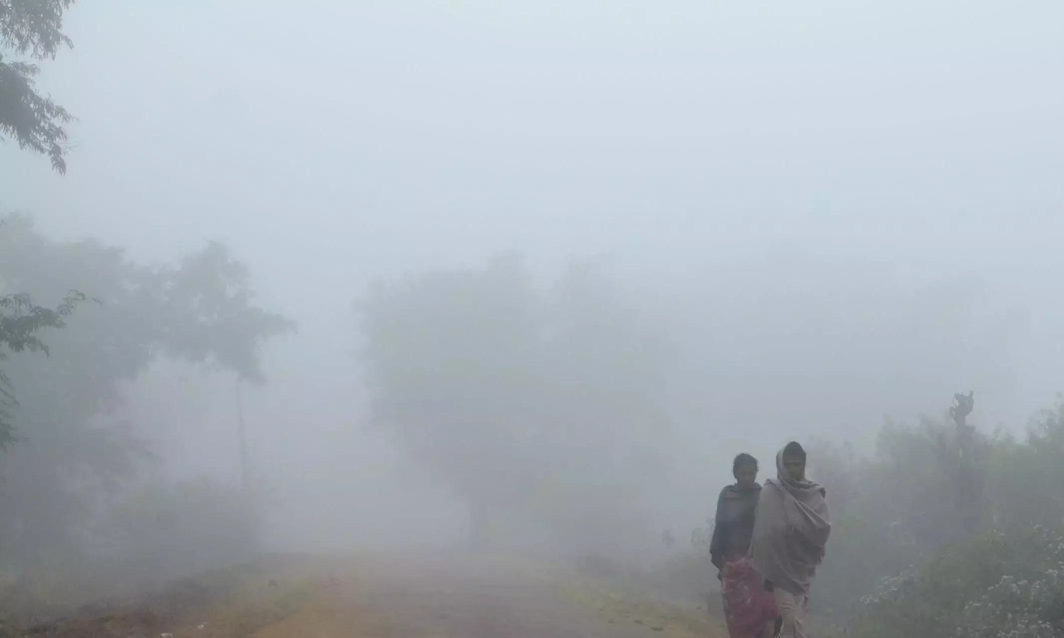 Andhra: तटीय जिलों में दो और दिनों तक कोहरा रहेगा; उड़ानें प्रभावित Andhra: तटीय जिलों में दो और दिनों तक कोहरा रहेगा; उड़ानें प्रभावित