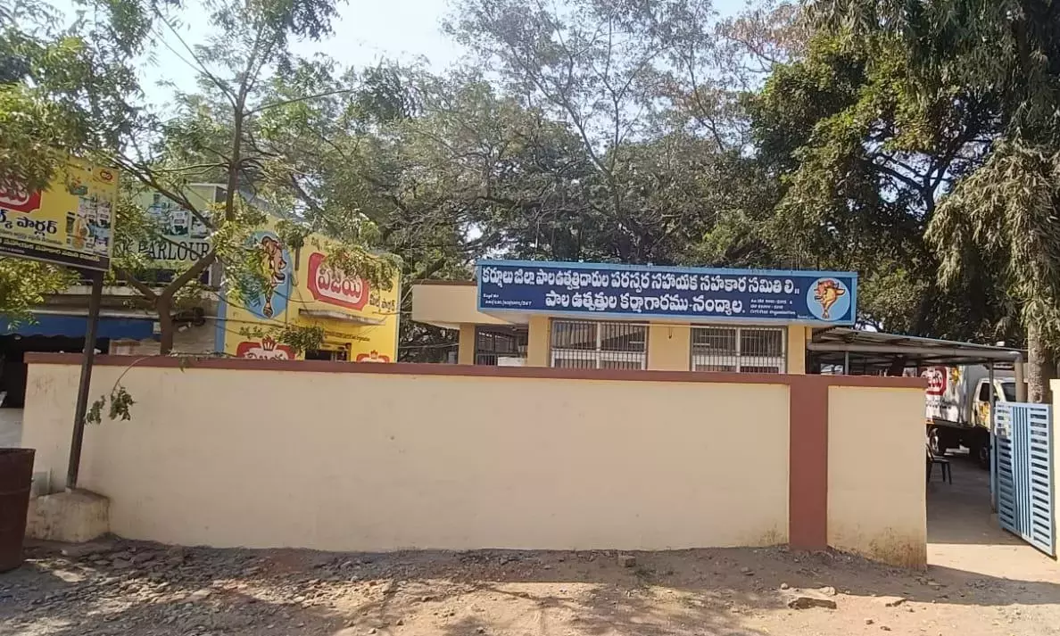 Andhra: नंद्याल विजया डेयरी चेयरमैन पद के लिए कड़ी टक्कर जारी