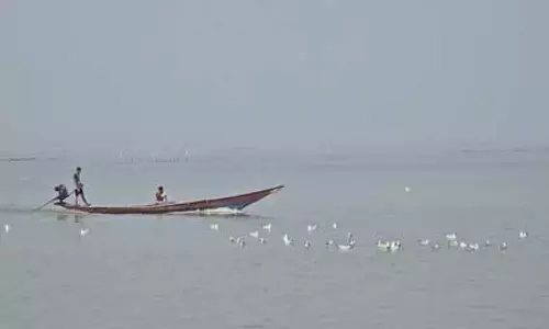 चिल्का झील में शुरू हुई डॉल्फिन गणना, 18 टीमें तीन दिन तक करेंगी सर्वे