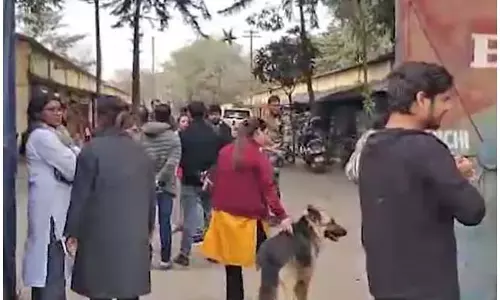 बेजुबान की बेरहमी से पिटाई का वीडियो देख भड़के लोग