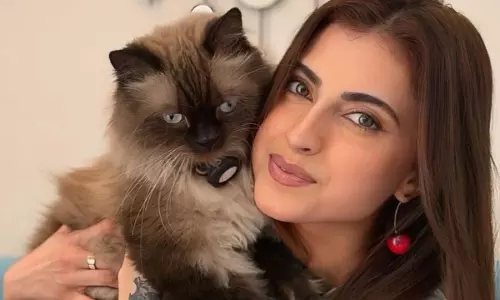 Bigg Boss 19 की फरहाना भट्ट पर पेमेंट क्लियर न करने का आरोप Bigg Boss 19 की फरहाना भट्ट पर पेमेंट क्लियर न करने का आरोप
