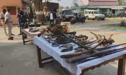 वन विभाग के अधिकारियों ने आग्नेयास्त्र, फंदे, सींग जब्त किए