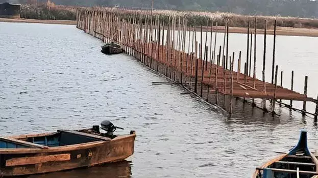 Thirunavaya कुंभ मेला: हाई कोर्ट ने टेम्पररी पुलों की सुरक्षा पक्की करने का आदेश दिया Thirunavaya कुंभ मेला: हाई कोर्ट ने टेम्पररी पुलों की सुरक्षा पक्की करने का आदेश दिया