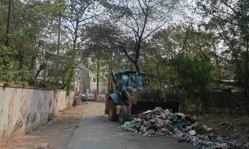 विवेकानंद नगर मुख्य मार्ग में विशेष सफाई अभियान चलाया गया विवेकानंद नगर मुख्य मार्ग में विशेष सफाई अभियान चलाया गया