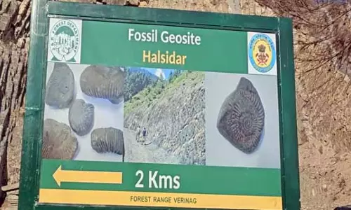 Anantnag के प्राचीन जीवाश्म स्थलों को ‘संरक्षित दर्जा’ मिला