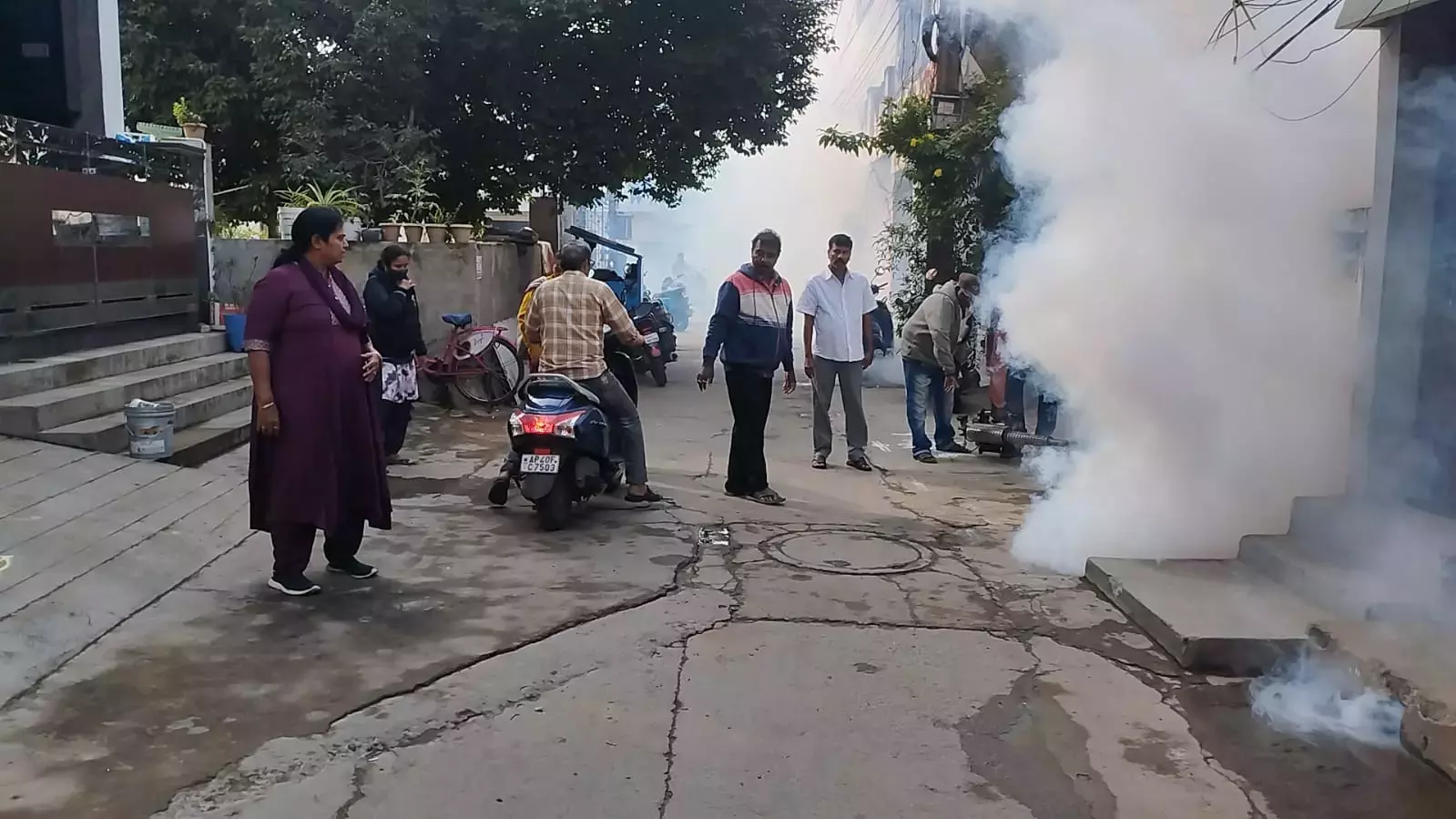 मच्छरों, आवारा कुत्तों, सड़क किनारे मवेशियों, बंदरों के खिलाफ NMC का स्पेशल ड्राइव मच्छरों, आवारा कुत्तों, सड़क किनारे मवेशियों, बंदरों के खिलाफ NMC का स्पेशल ड्राइव