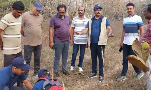 मेडक के Additional Collector ने पोचारम अभ्यारण्य में पशु गणना का निरीक्षण किया