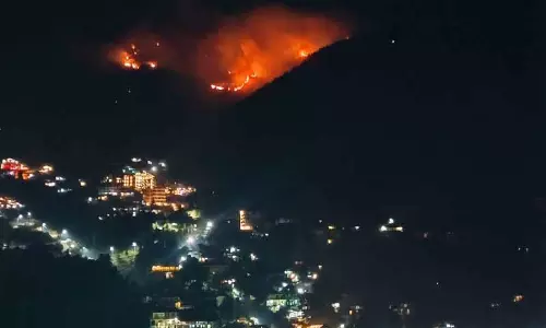 Dhauladhar में त्रिउंड ट्रेकिंग रूट पर जंगल में आग लग गई