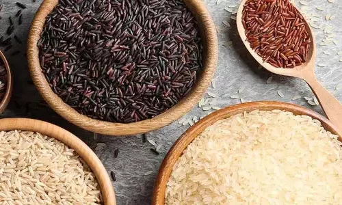 रोज़ाना इन अलग-अलग तरह के Rice खाने से सेहत को कई फ़ायदे होते रोज़ाना इन अलग-अलग तरह के Rice खाने से सेहत को कई फ़ायदे होते