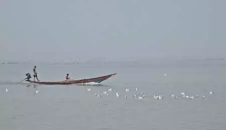 चिल्का झील में शुरू हुई डॉल्फिन गणना, 18 टीमें तीन दिन तक करेंगी सर्वे चिल्का झील में शुरू हुई डॉल्फिन गणना, 18 टीमें तीन दिन तक करेंगी सर्वे