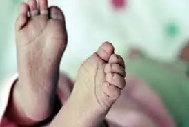 Panipat: चाय के पतीले पर गिरा मासूम, बुरी तरह झुलसा Panipat: चाय के पतीले पर गिरा मासूम, बुरी तरह झुलसा