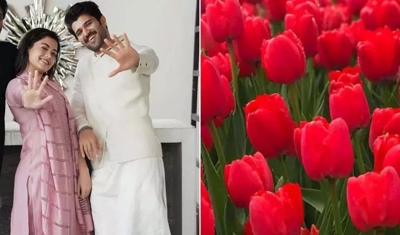 Vijay Deverakonda और रश्मिका मंदाना की शादी को लेकर अटकलें तेज़ हो गई Vijay Deverakonda और रश्मिका मंदाना की शादी को लेकर अटकलें तेज़ हो गई