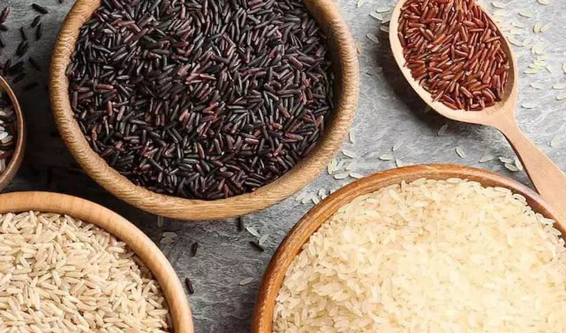 रोज़ाना इन अलग-अलग तरह के Rice खाने से सेहत को कई फ़ायदे होते रोज़ाना इन अलग-अलग तरह के Rice खाने से सेहत को कई फ़ायदे होते