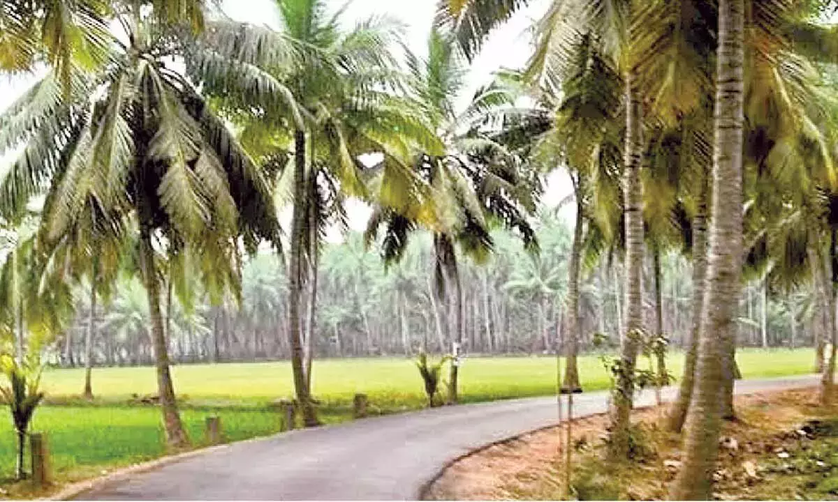 NH 216E प्रोजेक्ट से कोनासीमा की सड़कों की समस्या खत्म हो जाएगी
