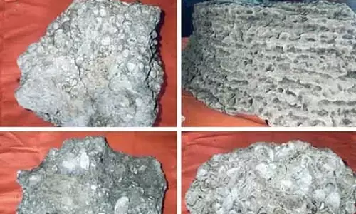 Vepplodai गांव में प्राचीन मूर्तियां - भारतीय पुरातत्व सर्वेक्षण की जानकारी