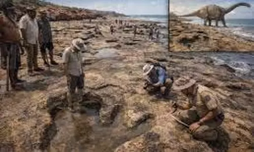 Science: ऑस्ट्रेलिया में मिले 13 करोड़ साल पुराने दानव के निशान, 3D तकनीक से वैज्ञानिकों ने किया खुलासा