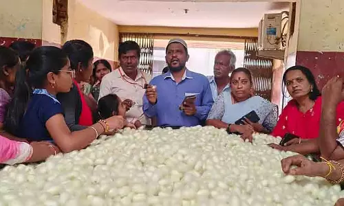 Shidlaghatta : चित्रदुर्ग के किसानों ने रेशमकीट बाजार का दौरा किया Shidlaghatta : चित्रदुर्ग के किसानों ने रेशमकीट बाजार का दौरा किया