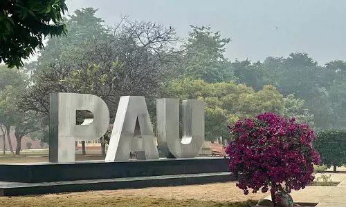 PAU को 3 नए एडिशनल डायरेक्टर मिले PAU को 3 नए एडिशनल डायरेक्टर मिले