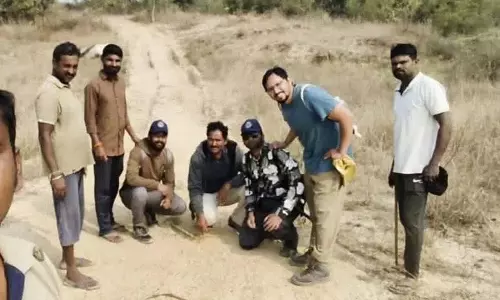 Dubbagudem के बाहरी इलाकों में घूमता दिखा तेंदुआ, लोगों में दहशत