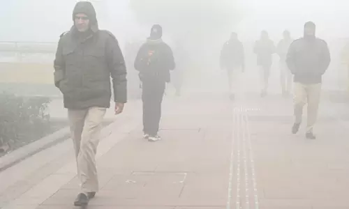 दिल्ली: फ्लाइंग स्क्वायड ने जनवरी में वायु प्रदूषण के 90 मामले दर्ज किए