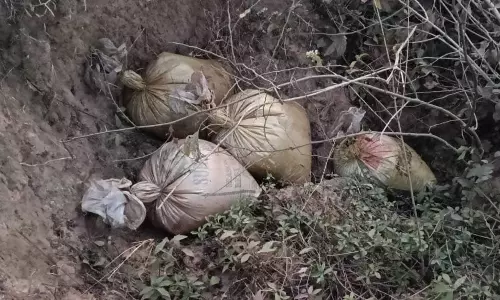 छाल पुलिस की सख्त कार्रवाई: अवैध महुआ शराब निर्माण की तैयारी को किया नष्ट छाल पुलिस की सख्त कार्रवाई: अवैध महुआ शराब निर्माण की तैयारी को किया नष्ट
