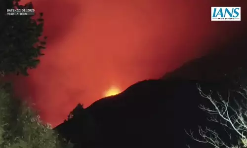 लंबे शुष्क मौसम के कारण फैल रही धधकती लपटें, बचाव दल ने मोर्चा संभाला लंबे शुष्क मौसम के कारण फैल रही धधकती लपटें, बचाव दल ने मोर्चा संभाला