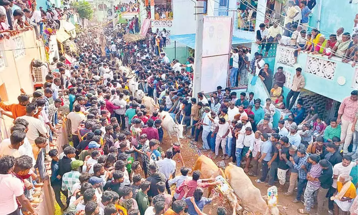 Andhra: रंगमपेटा में स्थगित गांव के बैल खेल को देखने के लिए भारी भीड़ उमड़ी Andhra: रंगमपेटा में स्थगित गांव के बैल खेल को देखने के लिए भारी भीड़ उमड़ी