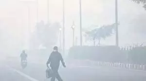 Bihar Weather : बदला मौसम का मिजाज, कड़ाके की ठंड और कोल्ड वेव से मिली राहत Bihar Weather : बदला मौसम का मिजाज, कड़ाके की ठंड और कोल्ड वेव से मिली राहत