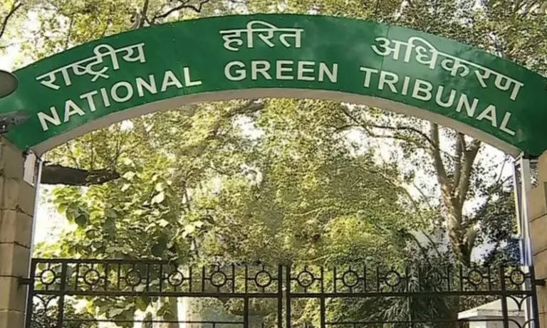 Arunachal: पापुम पारे में अवैध सड़क निर्माण पर NGT ने स्वतः संज्ञान लिया Arunachal: पापुम पारे में अवैध सड़क निर्माण पर NGT ने स्वतः संज्ञान लिया