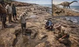 Science: ऑस्ट्रेलिया में मिले 13 करोड़ साल पुराने दानव के निशान, 3D तकनीक से वैज्ञानिकों ने किया खुलासा Science: ऑस्ट्रेलिया में मिले 13 करोड़ साल पुराने दानव के निशान, 3D तकनीक से वैज्ञानिकों ने किया खुलासा