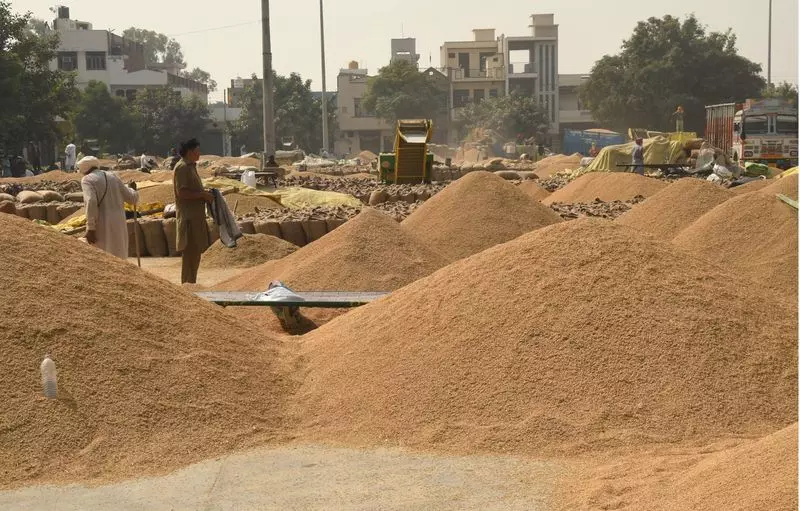 Haryana : धान घोटाले की जांच का दायरा बढ़ा, SIT ने मंडियों से नए रिकॉर्ड मांगे Haryana : धान घोटाले की जांच का दायरा बढ़ा, SIT ने मंडियों से नए रिकॉर्ड मांगे